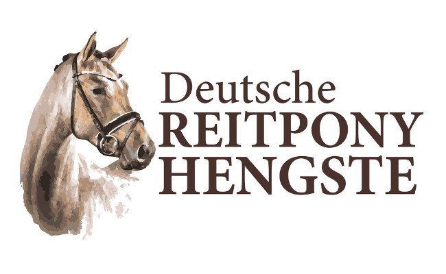 Deutsche Reitpony Hengste
